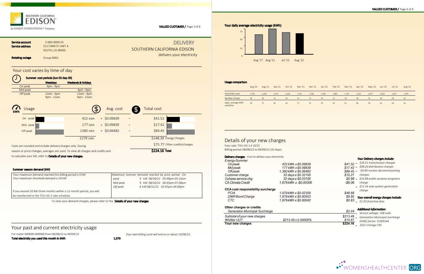download USA Southern California EDISON utility bill, Word and PDF template, 8 pages 3 4 PDF template